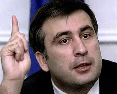 Սահակաշվիլին ցանկանում է օգտագործել վիրահայերի ներուժը Վրաստանի տնտեսության զարգացման համար