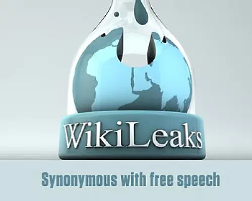 WikiLeaks заработал в 2010 году более 1 млн евро