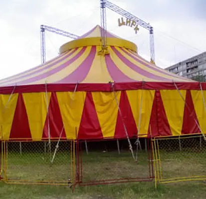 Georgia Circus Fire Results in Death of Animals