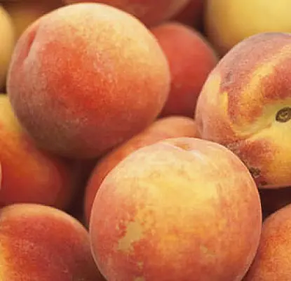 Peach Harvest Best Crop in Armenia This Year