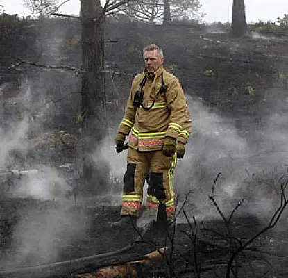 Dorset Fire Devastates Crucial Wildlife Site During Breeding Season (PHOTOS)