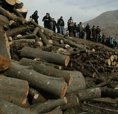 Armenian Diaspora Promises to Help Local Activists in Saving Teghut Forest