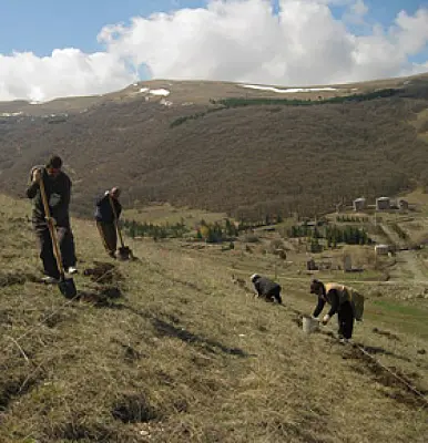 Norway Gives $1.2 Million to Armenia Reforestation Project