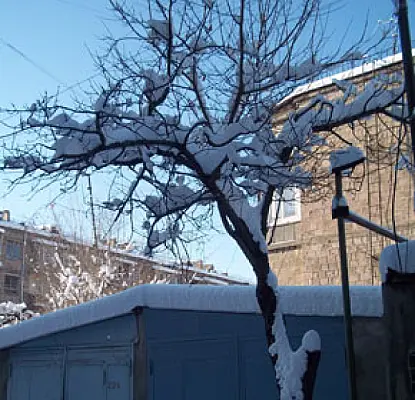 Գալիք օրերին Հայաստանում եղանակը կտաքանա