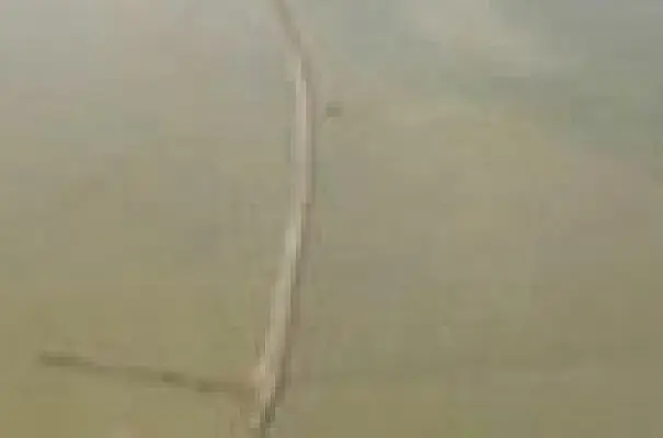Վայոց Ձորում 15-ամյա երեխա է խեղդվել