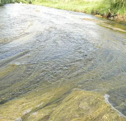 Armenian Hydroelectric Power Plants Not Affected by Aridity: Environmentalist