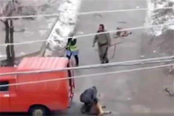 Armenia’s Police Support Gunning Down of Stray Dogs, Animal Lovers Claim