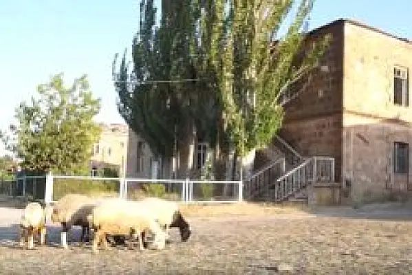 Կառավարությունը գոնե 1 ժամ ապրեր Անիպեմզայում