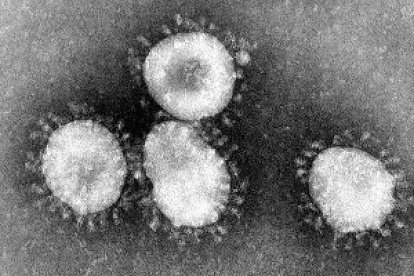 First Coronavirus Case Confirmed in Armenia: Measures of Containment Take Effect