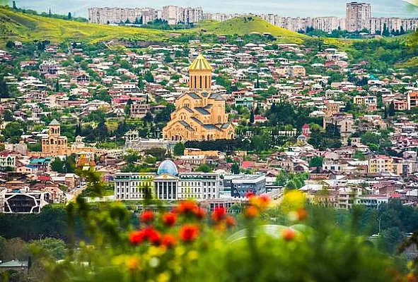 Վրաստանի աշխատունակ բնակչության կեսը գործազուրկ է
