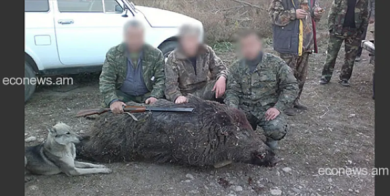 «Экологи-чиновники» незаконно охотились в Сюнике