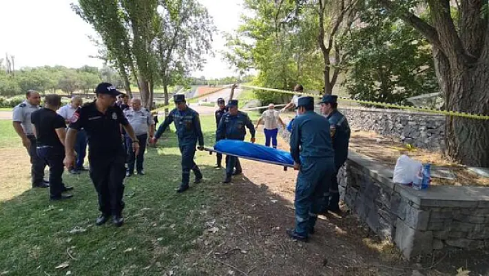 В ереванском парке найден повешенный на дереве труп женщины