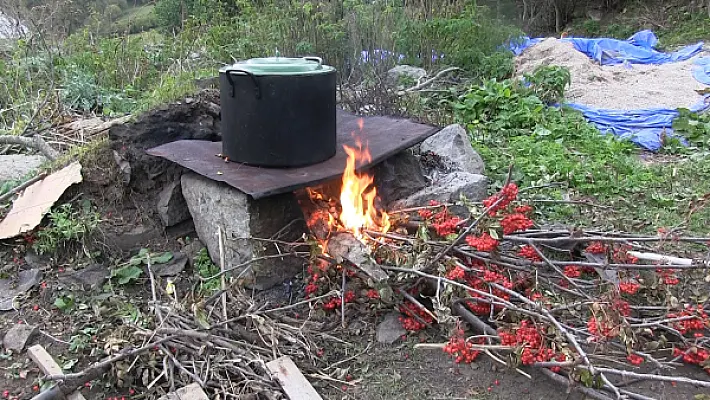 Զուգարան հազար վոլտի տակ