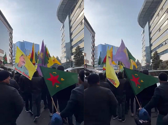 Рожава на грани исчезновения