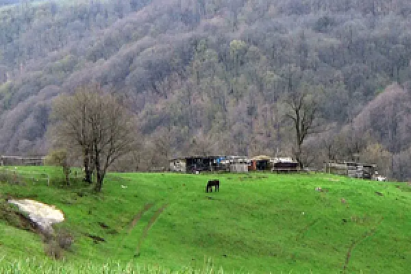 Նոյեմբերյանն ընդդեմ հանքի