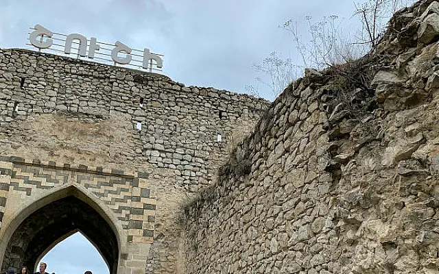 Ակտիվիստ Լենա Նազարյանը և հայկական խաղաղության զոռբայությունը