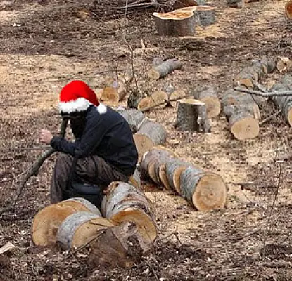 ՖՈՏՈՇԱՐՔ. Էլ ինչ տոնածառ առանց ծառ...