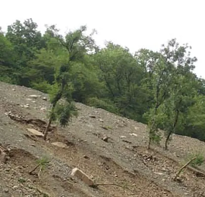 «Հանքարդյունաբերության հետևանքով...». Թանկյանը խոսել է Թեղուտի անտառների մասին