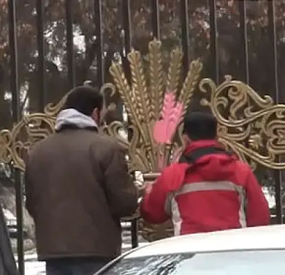 Розовое пятно на парламенте Армении (ВИДЕО)