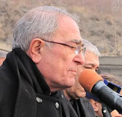 «Տանցույուտ վսե». Տիգրան Կարապետյանը Ամալյանին «շատ փոքր» է համարել