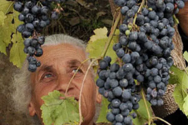 Երբ ներդրումը մոգական բառ է