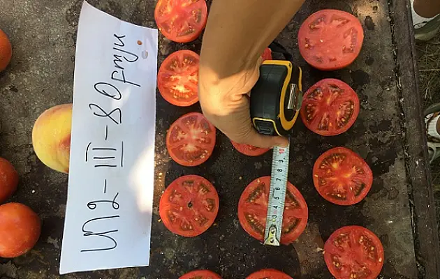 Գիտունիկները հավաքվեցին, որոշեցին, որ արևելյան թույներն անորակ են