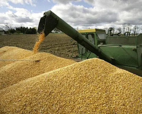 Ukraine to Export Grain to Armenia