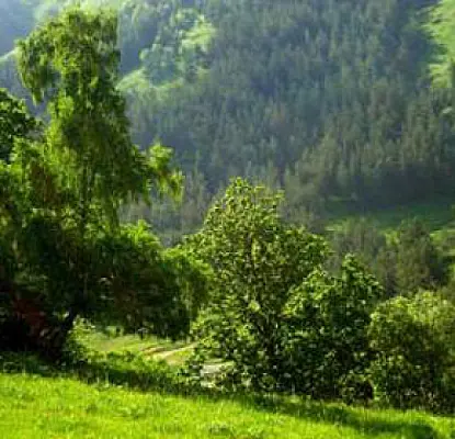 German Tourist Lost in Armenia Mountains 