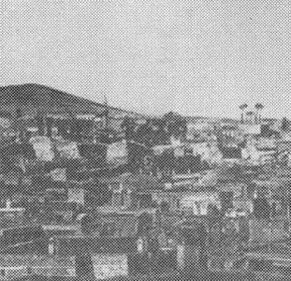Թուրքիայում քրդերը պայքարում են հայերի իրավունքների համար