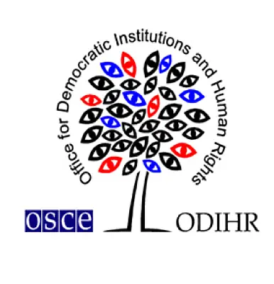 OSCE/ODIHR are 'Not Election Police,' Says Head of Election Observation Mission in Armenia