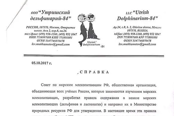 Dolphins in Dilijan Hotel Kept Under Unadopted Russian Law, Expert Says
