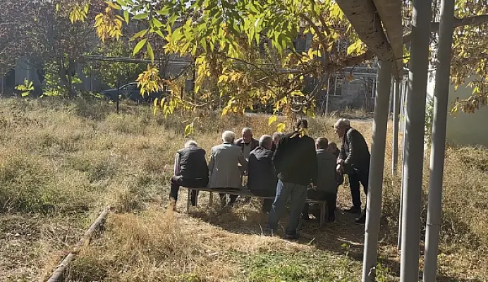 Թոշակի փոխարեն վարկ