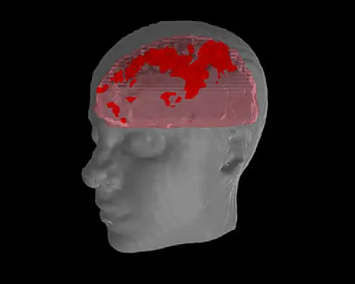 Մարդու հիշողությունը շուտով հավերժ կդառնա