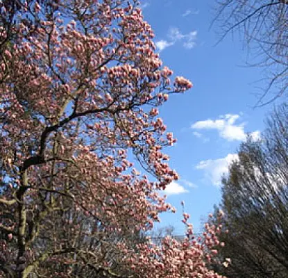 Temperatures to Rise on Apr. 19