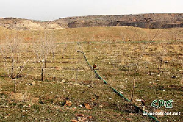 New Landfill in Nubarashen Instead of a Forest: AEF