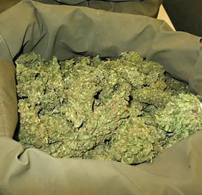 Armenian-Americans Arrested in Major Drug Bust