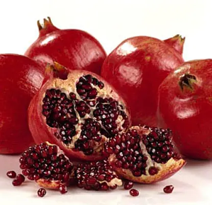 No 'Pomegranate Revolution' in Armenia, Believed US Ambassador
