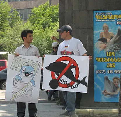 To Shut Down the Dolphinarium: Armenian Environmentalists Ready to Go to International Courts