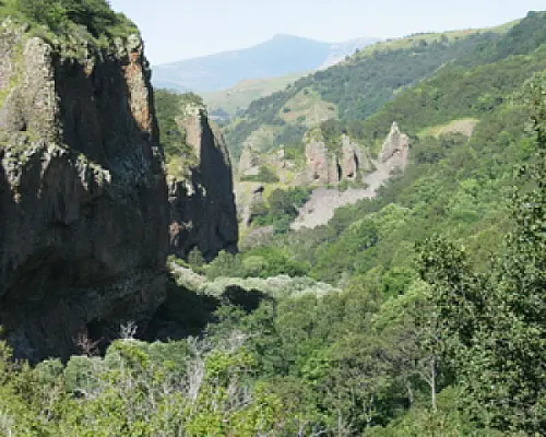 Ջերմուկում վերանում են Կարմիր գրքում գրանցված կենդանիներն ու բույսերը. քննարկում