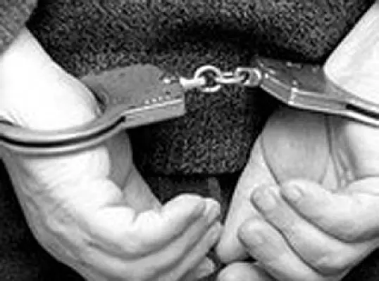 В Москве у уроженца Армении изъяли пять пистолетов