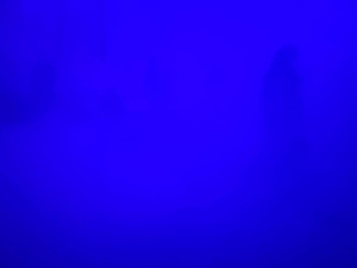 ghost (10) (1).jpg