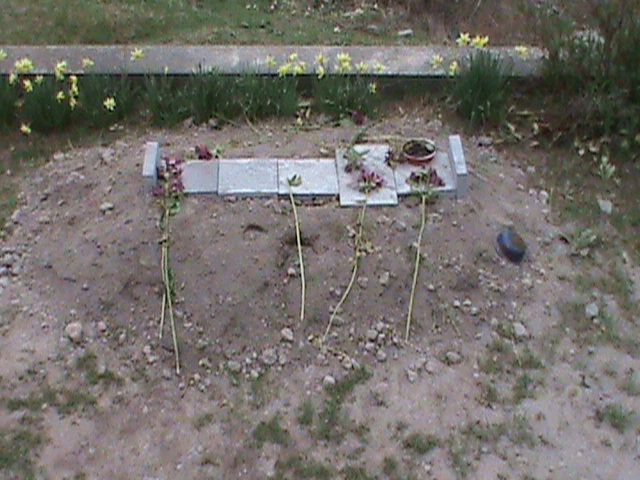 DSC01301.JPG