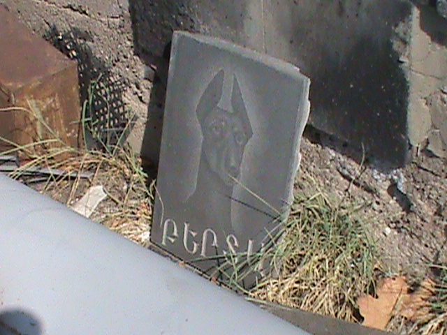 DSC02925.JPG
