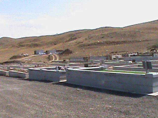 DSC02948.JPG